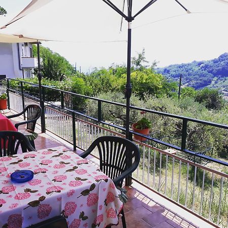 B&B Santa Lucia Silvi Paese Buitenkant foto