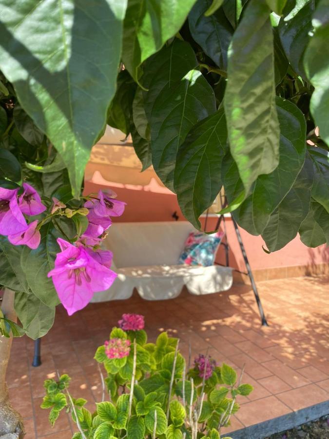 B&B Santa Lucia Silvi Paese Buitenkant foto